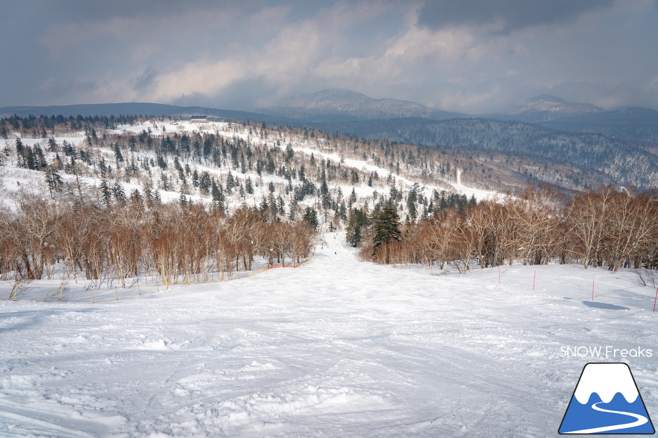 札幌国際スキー場｜さすが『KOKUSAI』！春シーズンも安泰の豊富な積雪で、まだまだ余裕で全面滑走可能です(^^)v